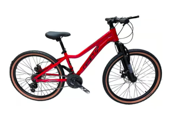 BICICLETA GW MONKEY MTB R24 - Image 3