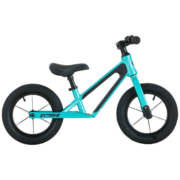BICICLETA DE IMPULSO GW EXTREME R12 - Image 3