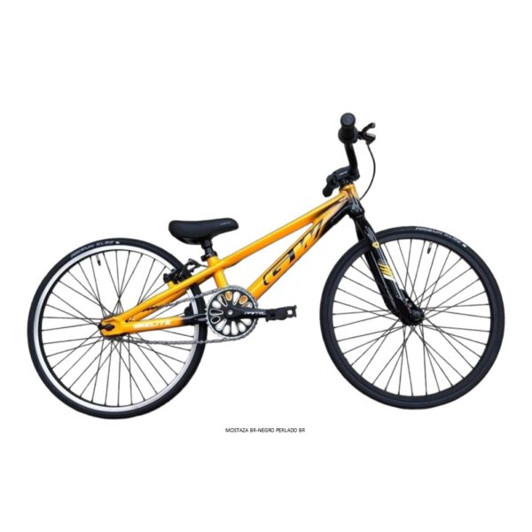 BICICLETA BMX RACING GW ELITE MINI R20 - Image 5