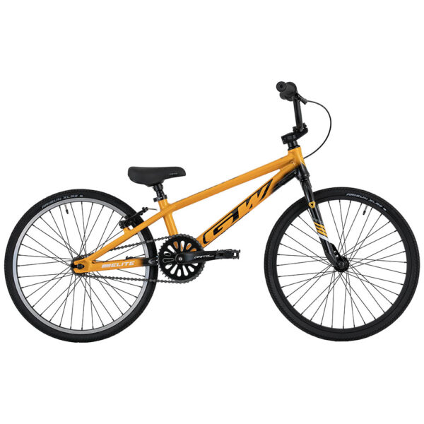 BICICLETA BMX RACING GW ELITE EXPERT R20 - Image 5