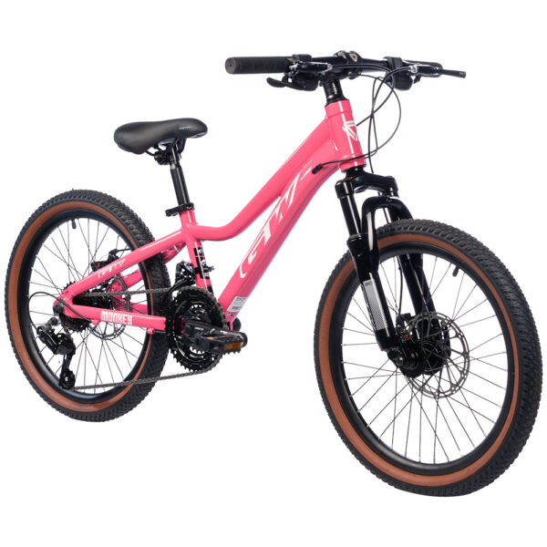 BICICLETA GW MONKEY MTB R20 - Image 2