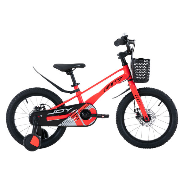 BICICLETA JOY MAGNESIO GW R16 - Image 2