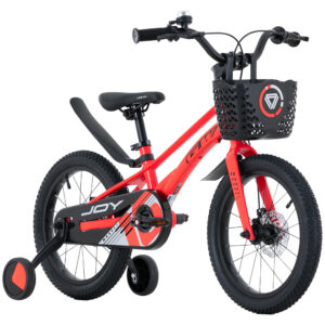 BICICLETA JOY MAGNESIO GW R16