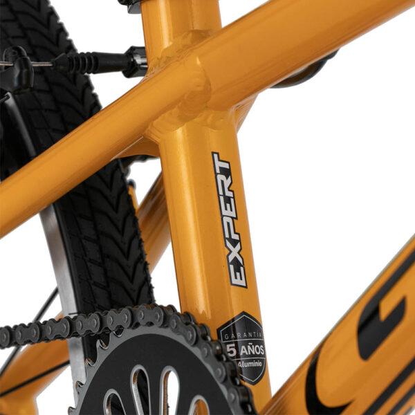 BICICLETA BMX RACING GW ELITE EXPERT R20 - Image 6