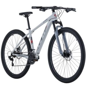 BICICLETA GW LYNX MTB R29