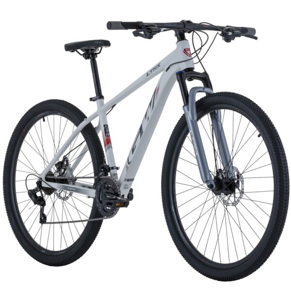 BICICLETA GW LYNX MTB R29