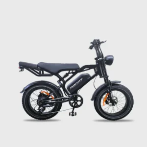 BICICLETA ELECTRICA PROFIT EON-X 500W
